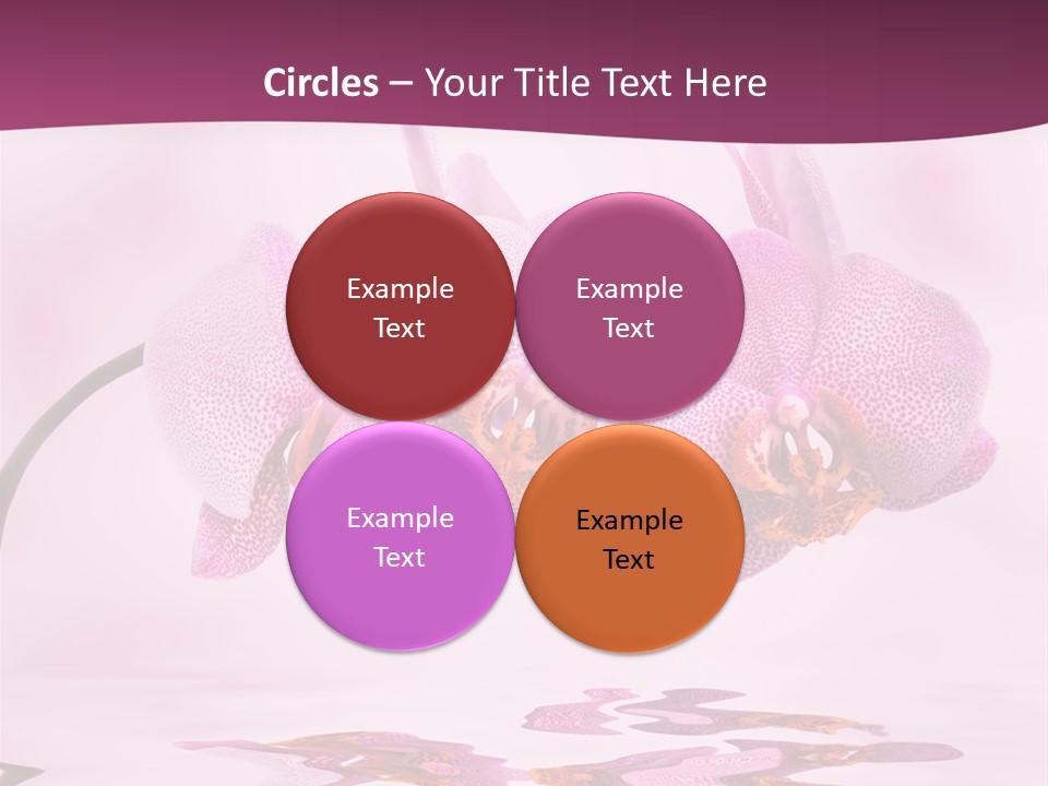 Valentine Stem Closeup PowerPoint Template