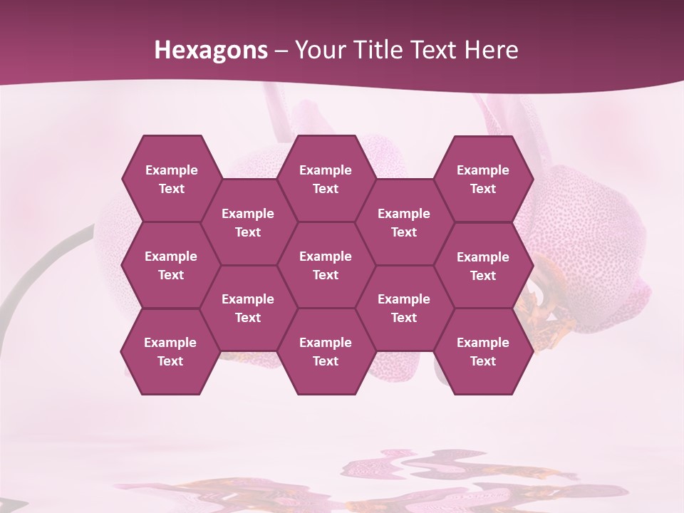 Valentine Stem Closeup PowerPoint Template