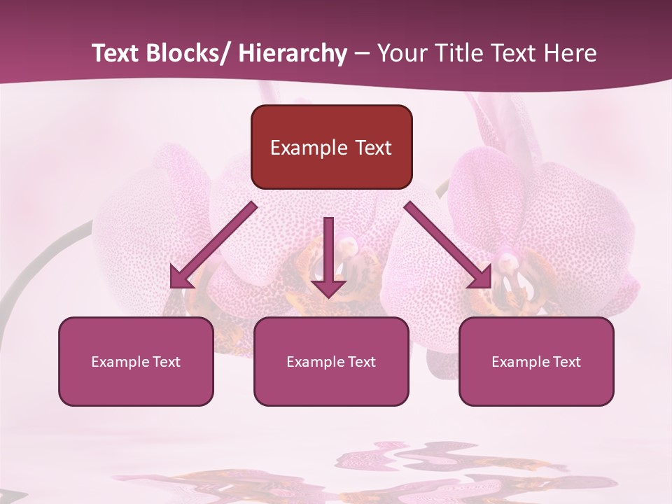 Valentine Stem Closeup PowerPoint Template