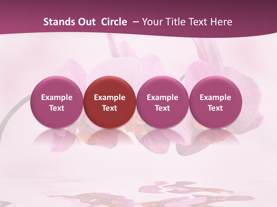 Valentine Stem Closeup PowerPoint Template
