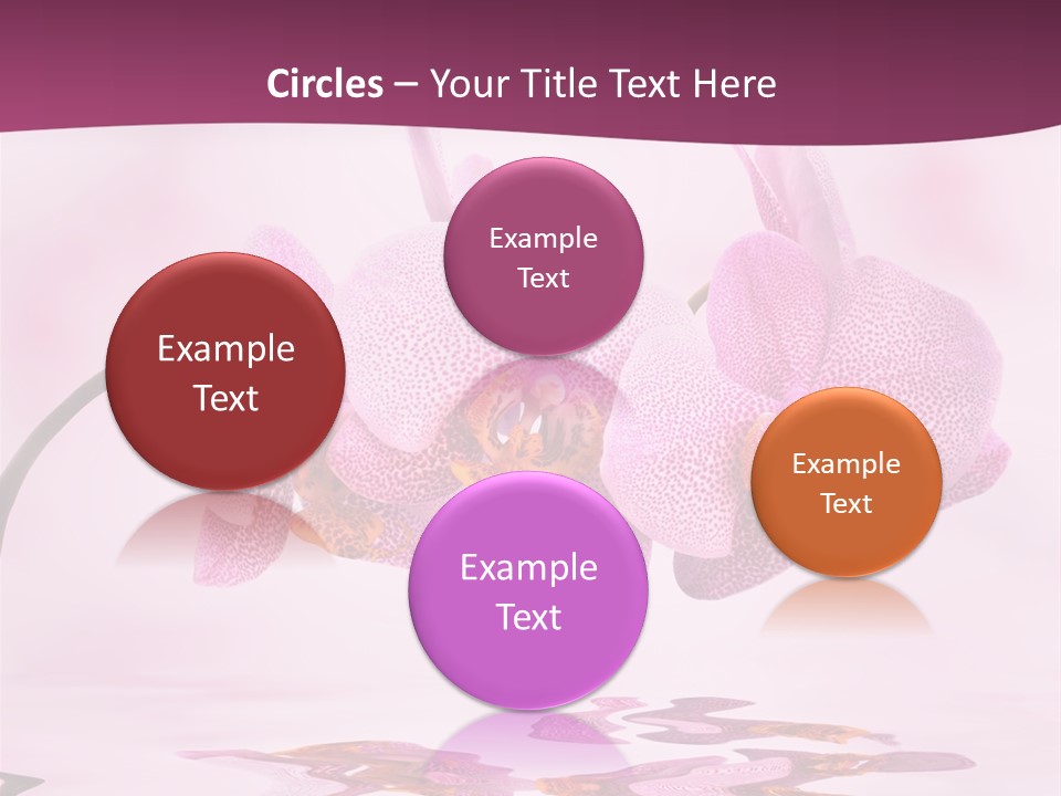 Valentine Stem Closeup PowerPoint Template