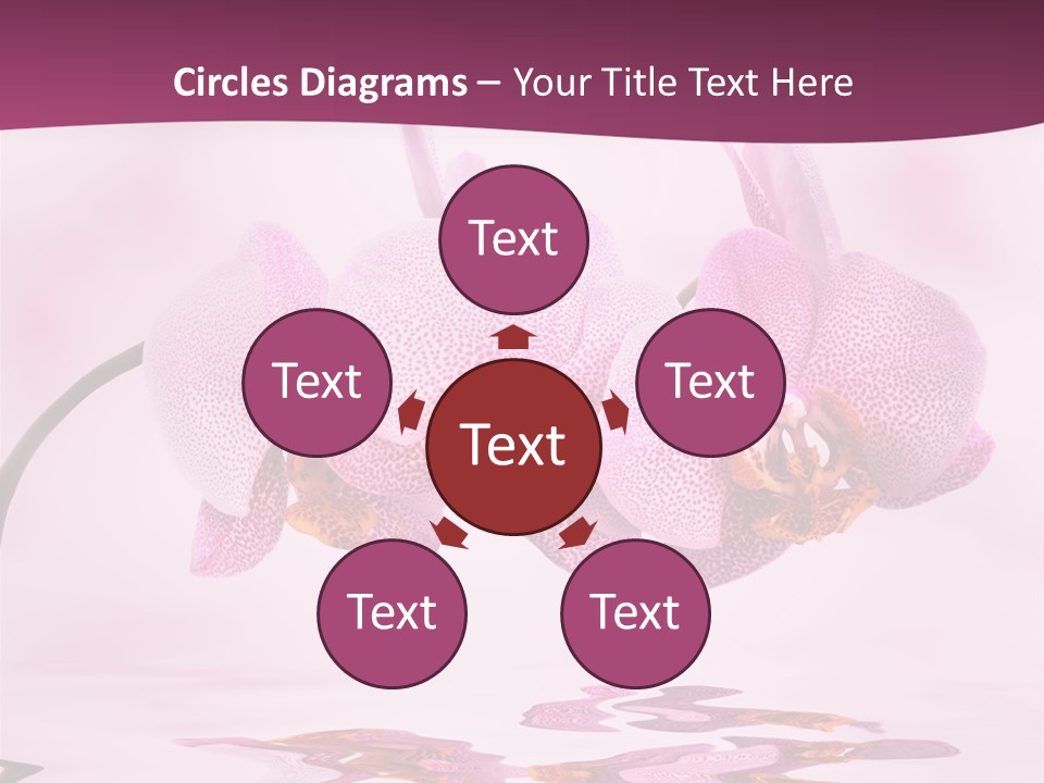 Valentine Stem Closeup PowerPoint Template