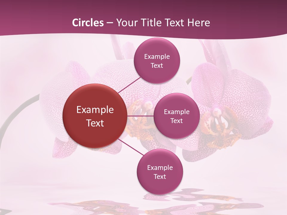 Valentine Stem Closeup PowerPoint Template