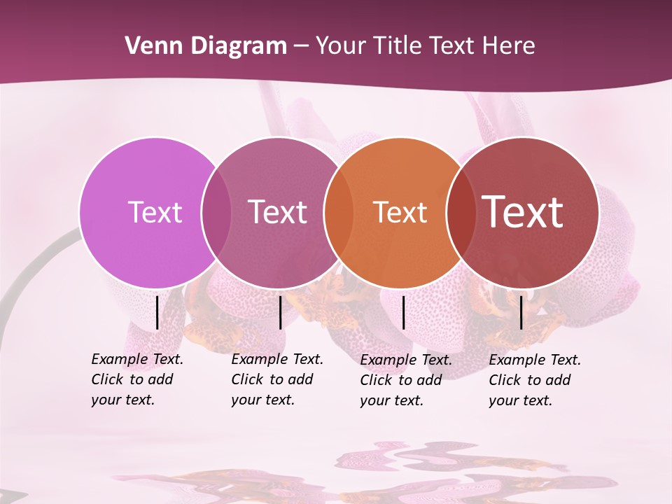 Valentine Stem Closeup PowerPoint Template