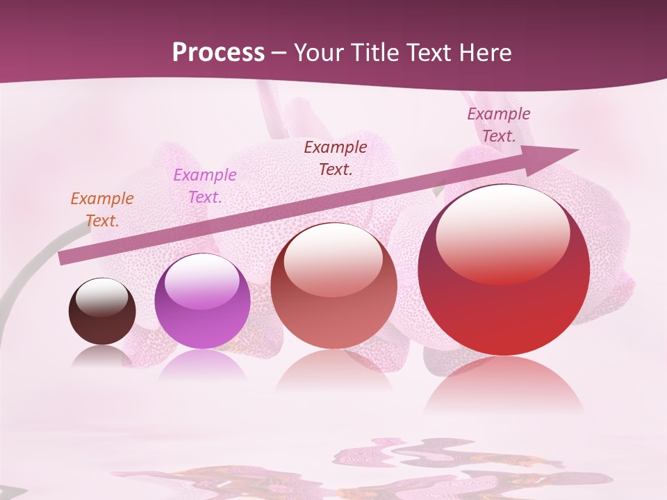 Valentine Stem Closeup PowerPoint Template