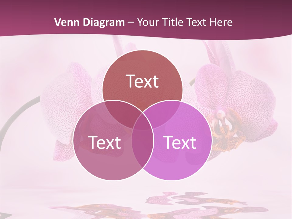 Valentine Stem Closeup PowerPoint Template