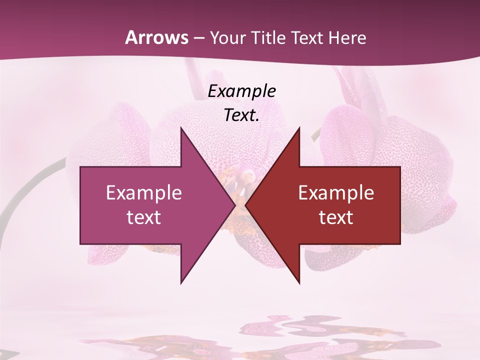 Valentine Stem Closeup PowerPoint Template