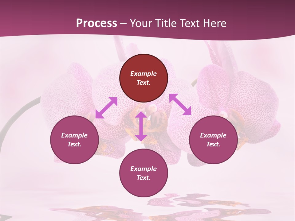 Valentine Stem Closeup PowerPoint Template