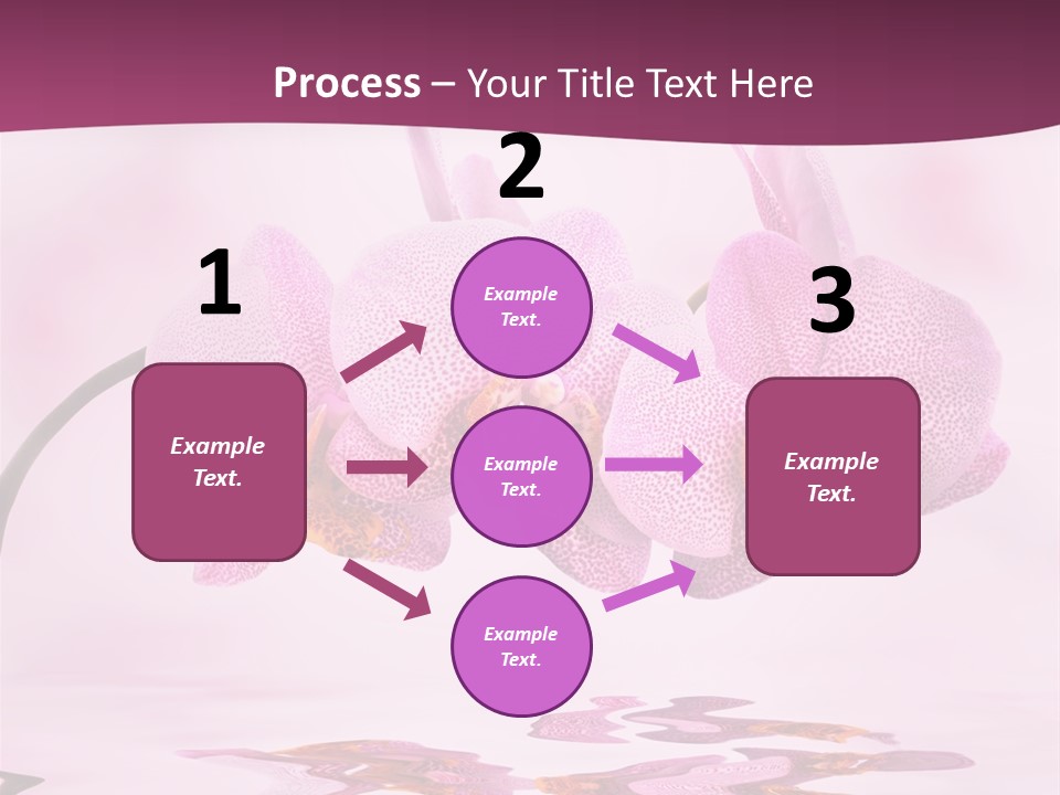 Valentine Stem Closeup PowerPoint Template