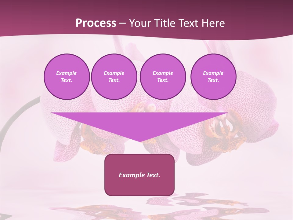 Valentine Stem Closeup PowerPoint Template