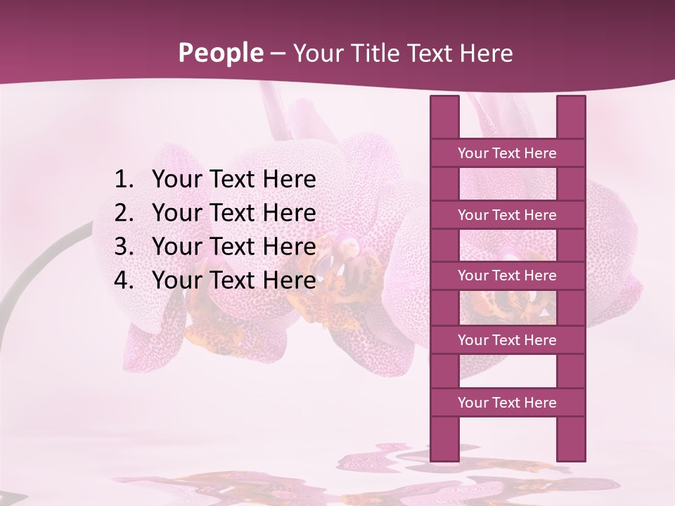 Valentine Stem Closeup PowerPoint Template