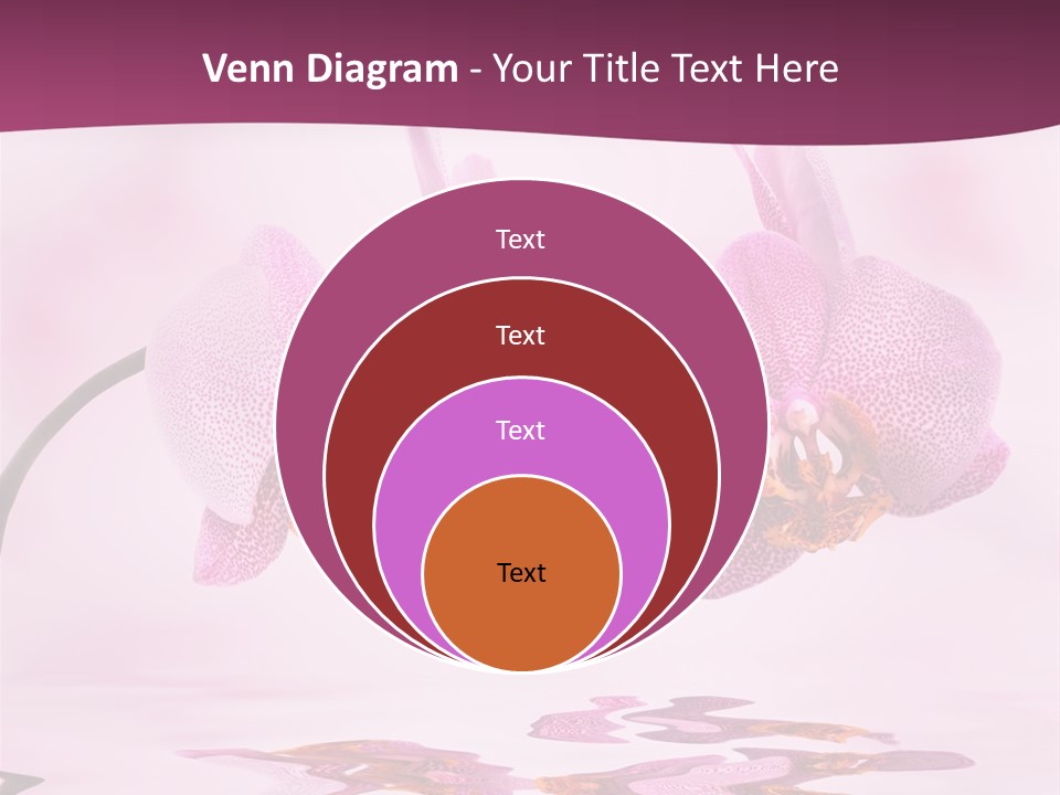 Valentine Stem Closeup PowerPoint Template