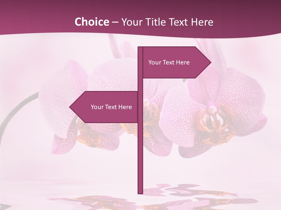 Valentine Stem Closeup PowerPoint Template