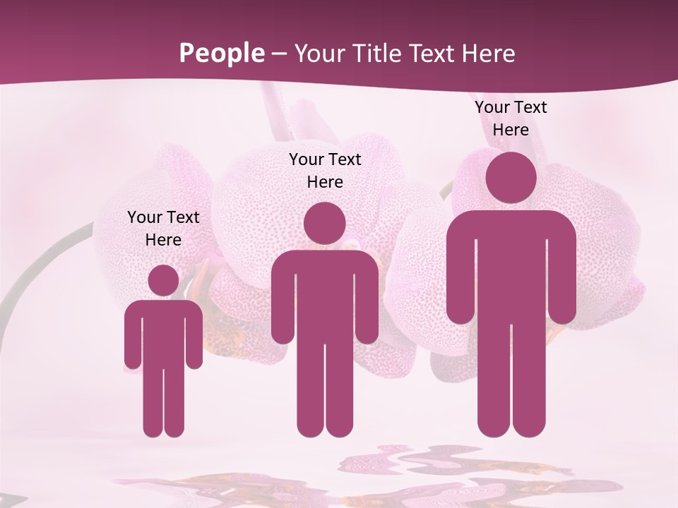 Valentine Stem Closeup PowerPoint Template