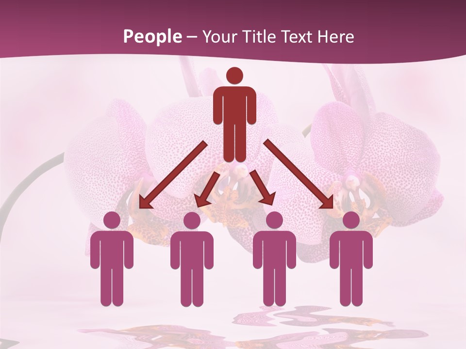 Valentine Stem Closeup PowerPoint Template