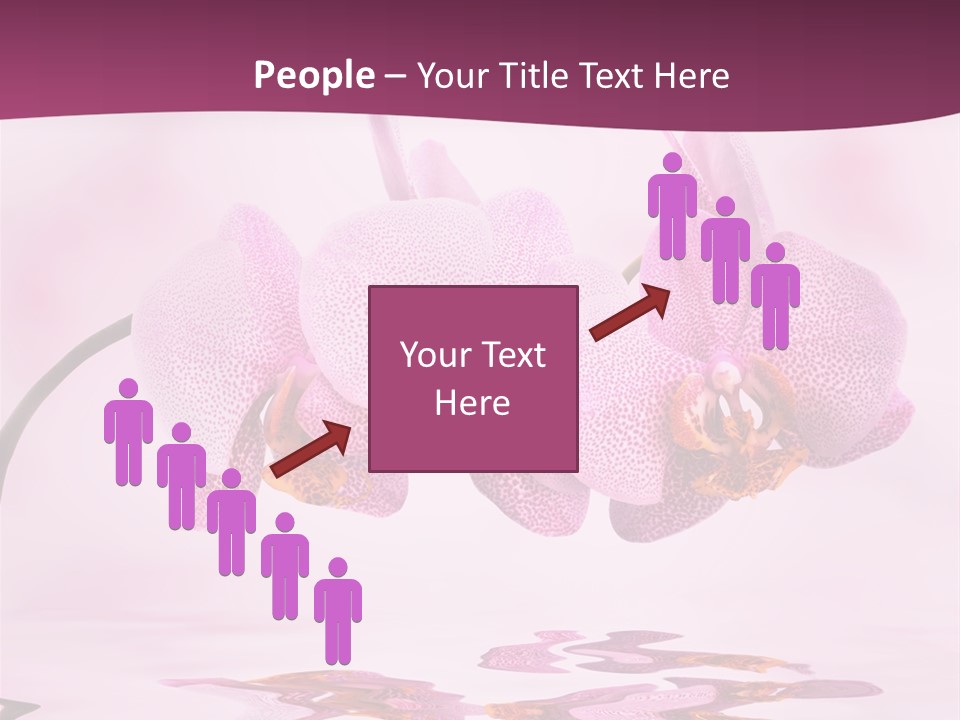 Valentine Stem Closeup PowerPoint Template