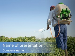 Tomato Spraying Pest PowerPoint Template