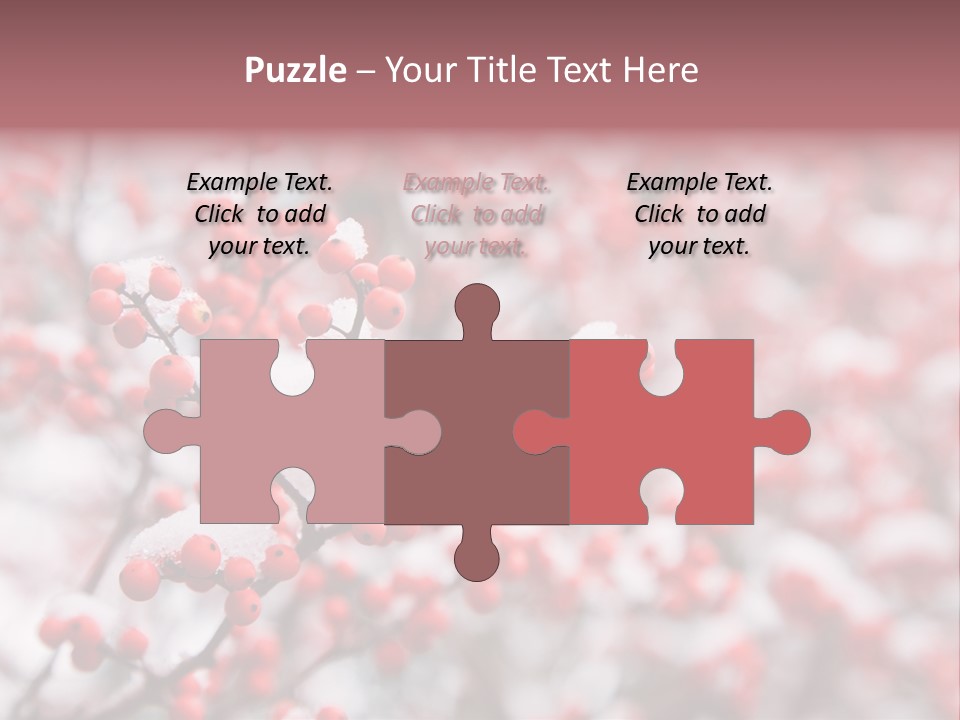 Beautiful Covered Snow PowerPoint Template