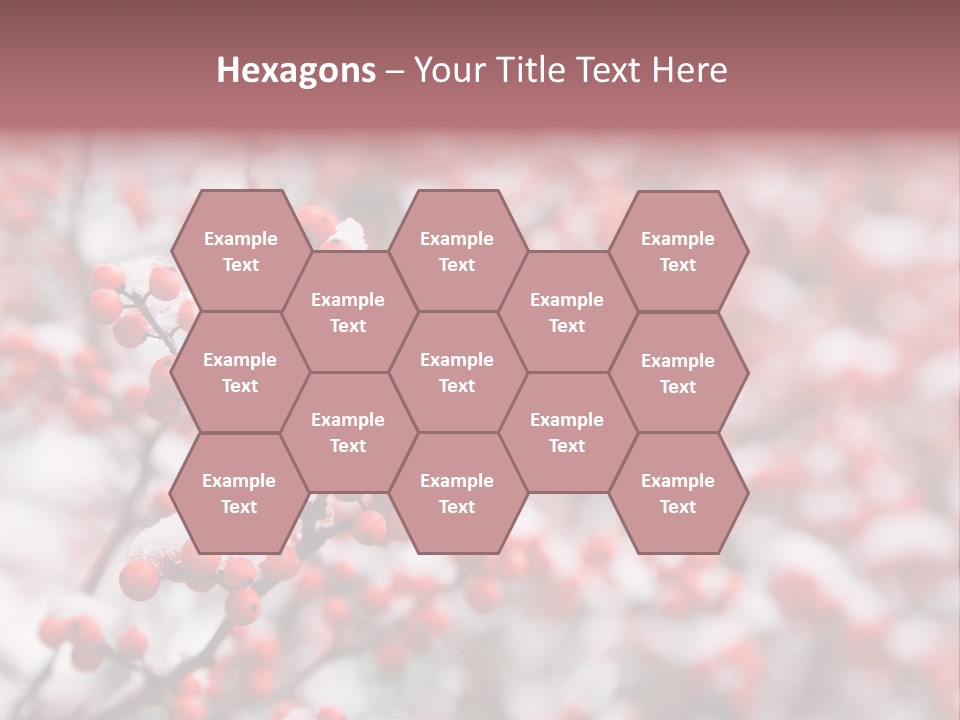 Beautiful Covered Snow PowerPoint Template