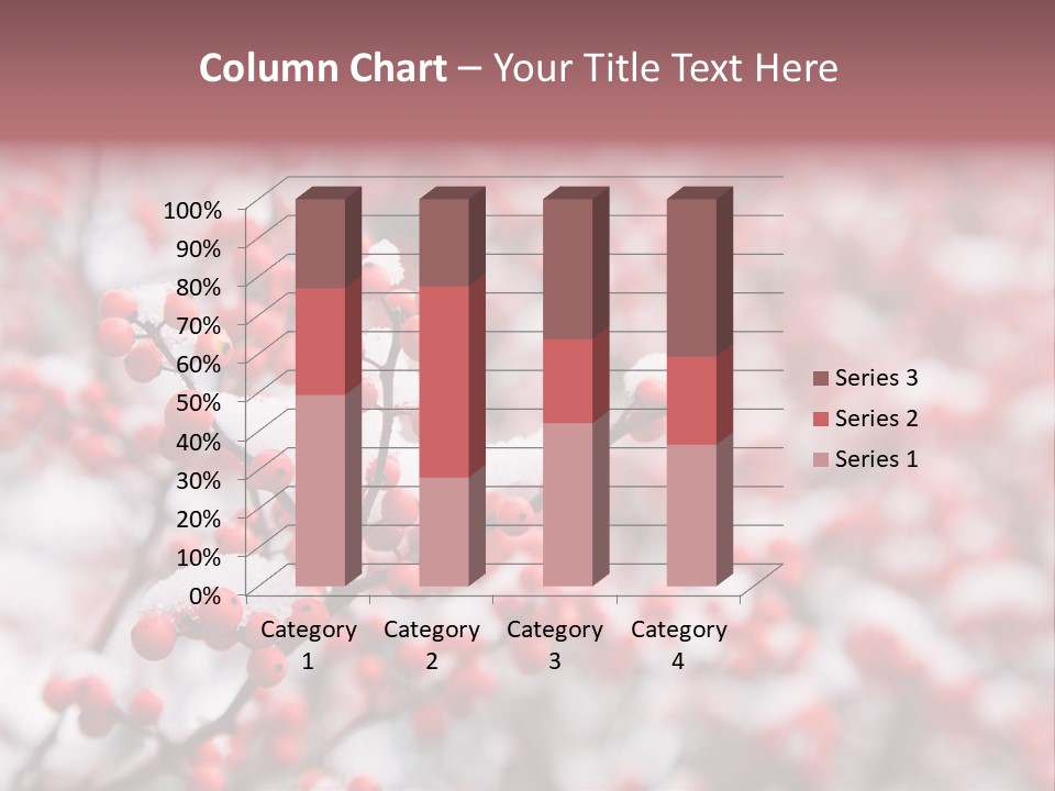 Beautiful Covered Snow PowerPoint Template