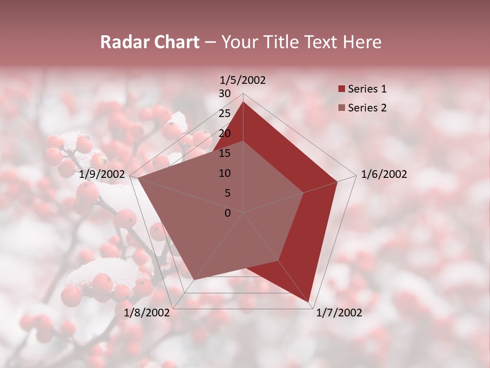 Beautiful Covered Snow PowerPoint Template