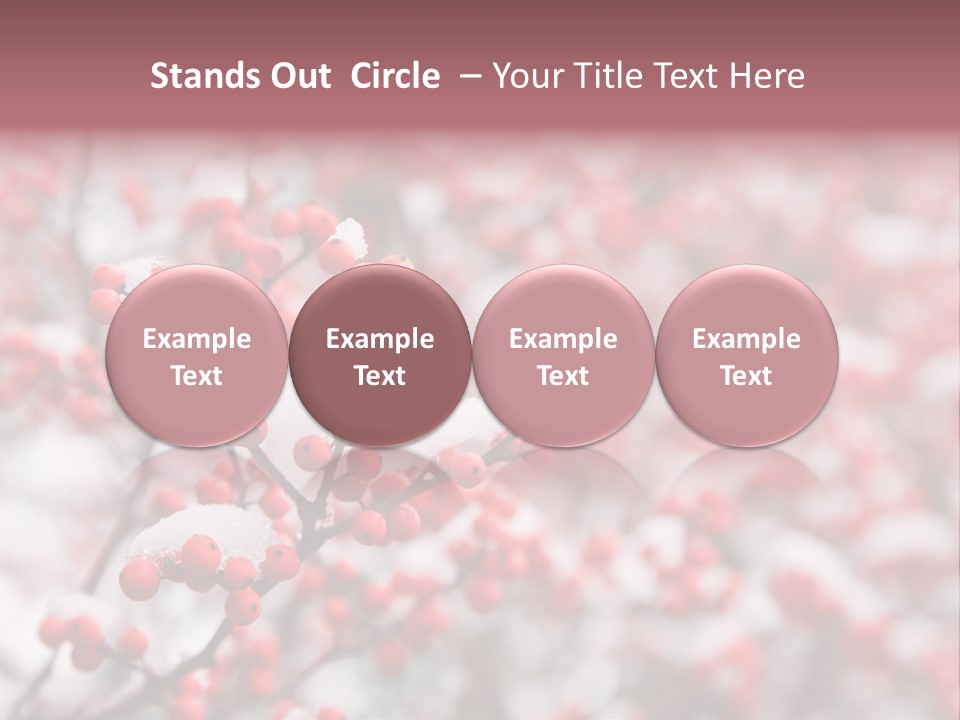 Beautiful Covered Snow PowerPoint Template
