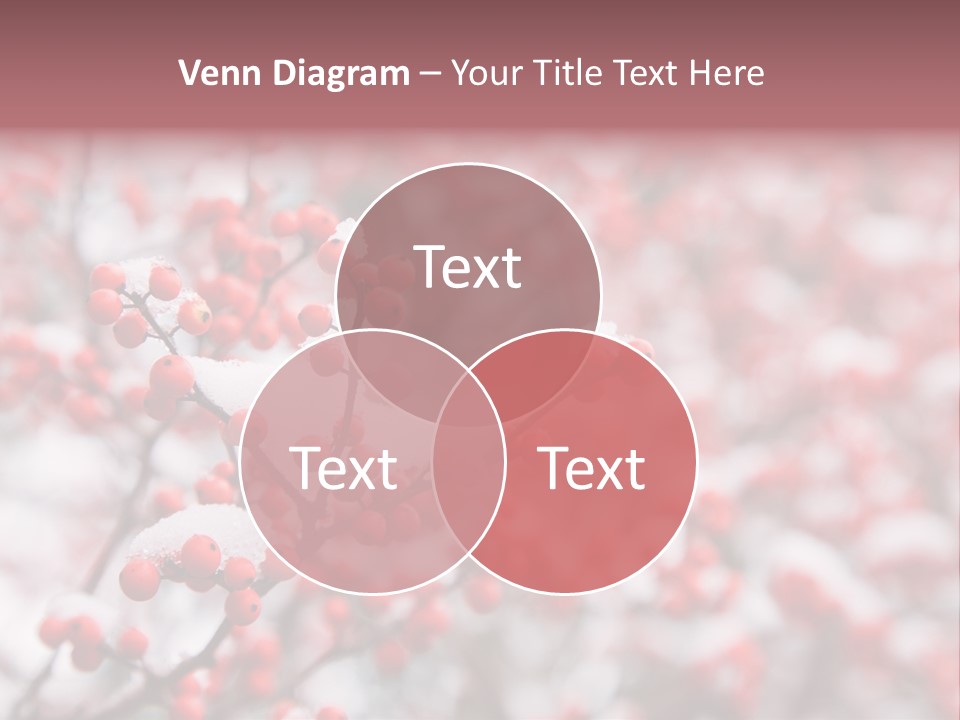 Beautiful Covered Snow PowerPoint Template