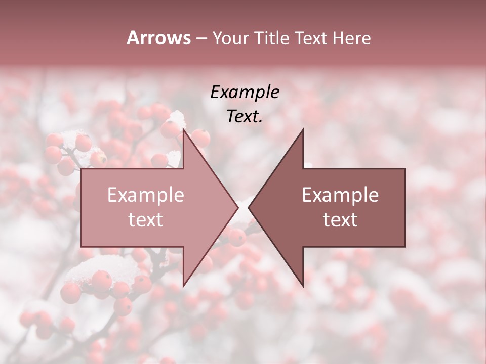 Beautiful Covered Snow PowerPoint Template