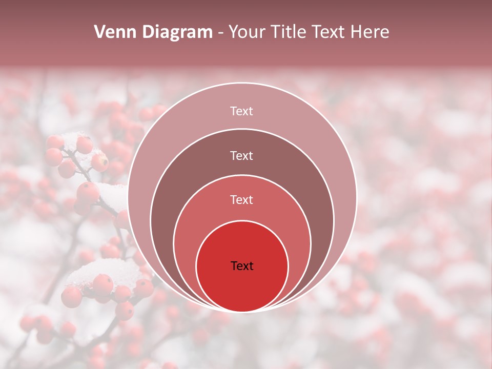 Beautiful Covered Snow PowerPoint Template