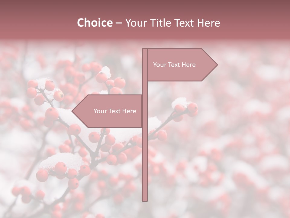 Beautiful Covered Snow PowerPoint Template