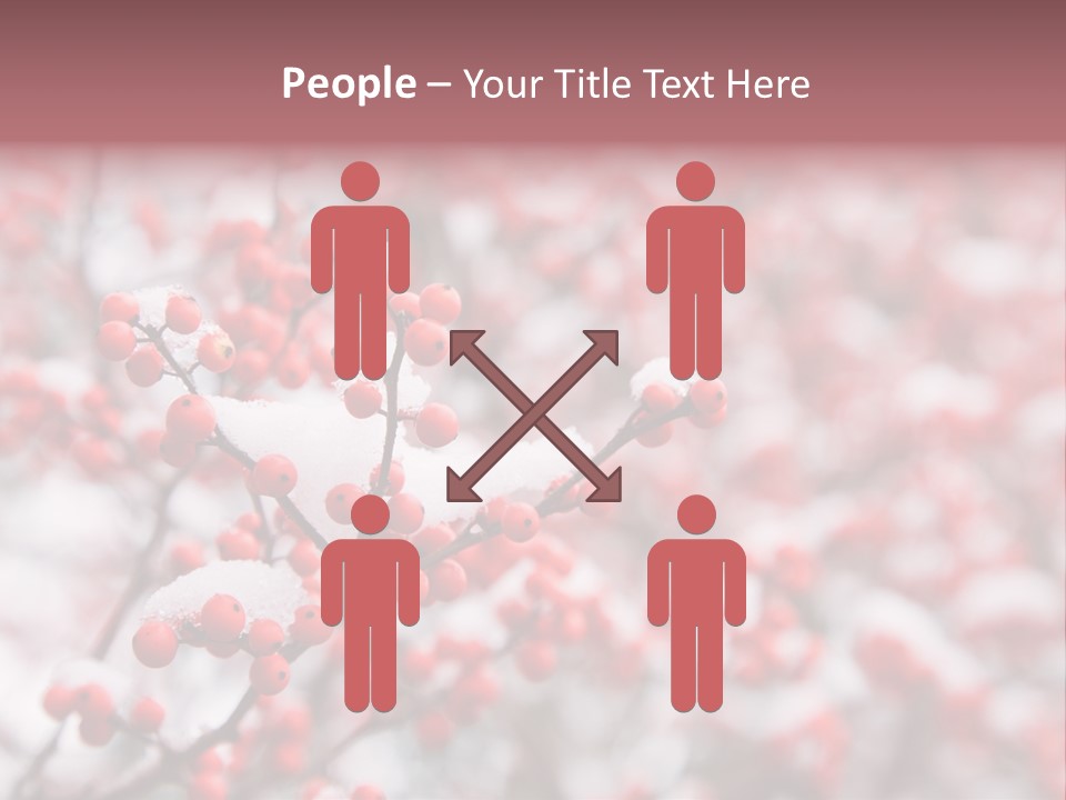 Beautiful Covered Snow PowerPoint Template