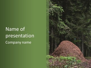 Insects Nature Wood PowerPoint Template