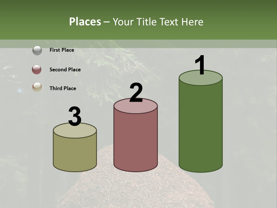 Insects Nature Wood PowerPoint Template