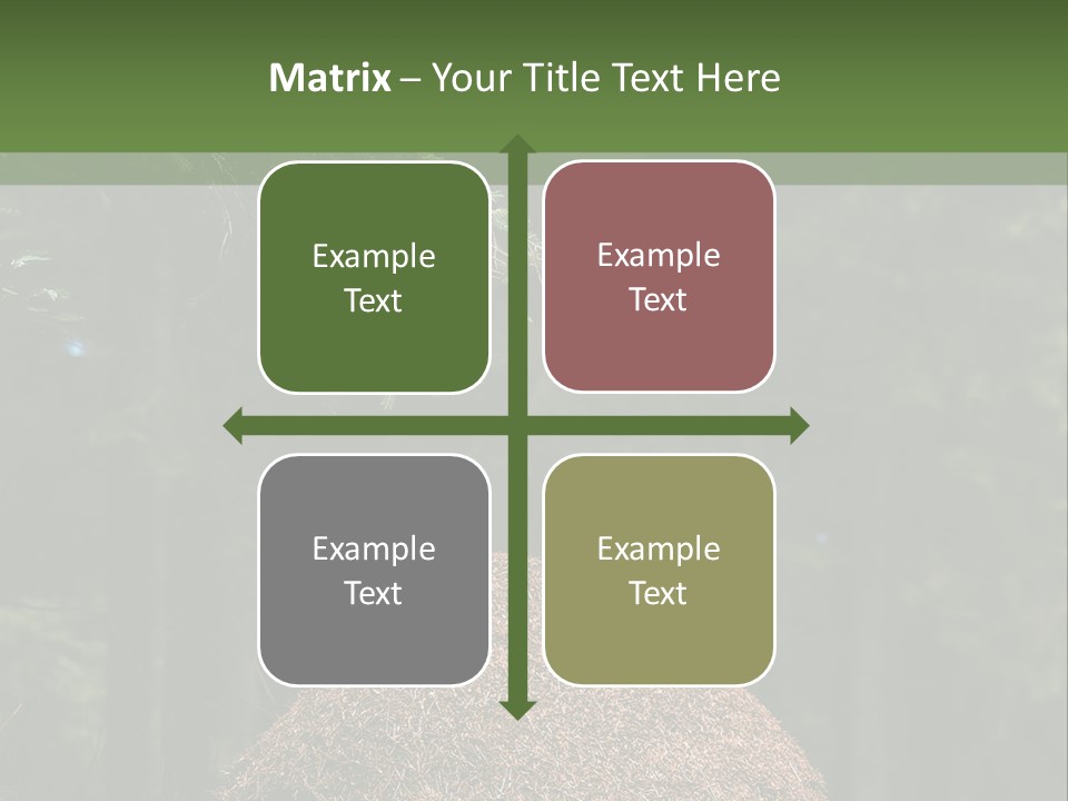 Insects Nature Wood PowerPoint Template