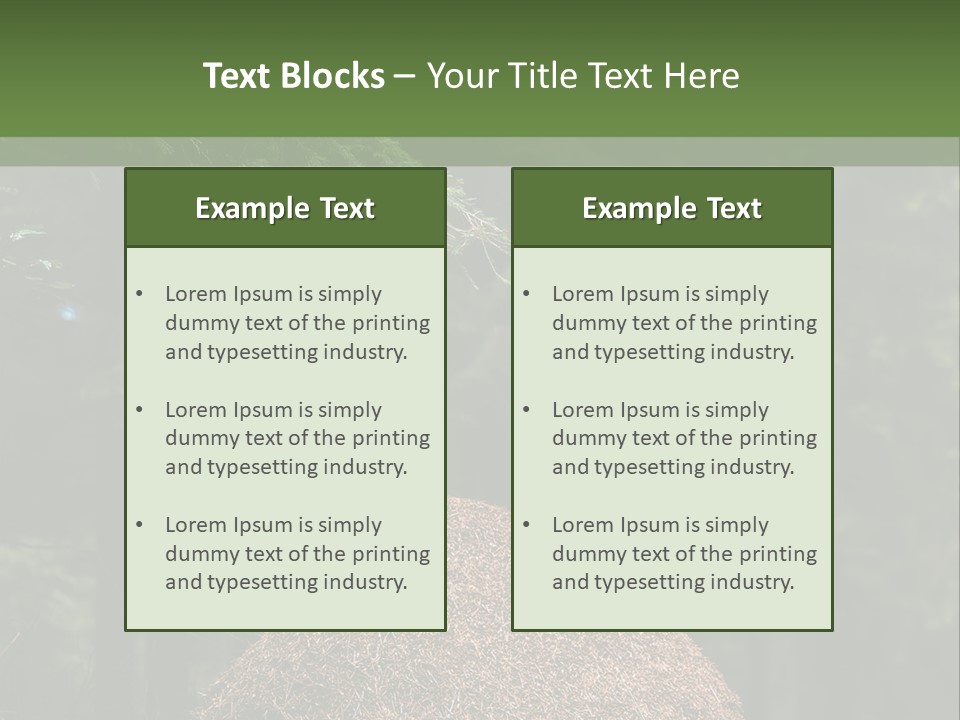 Insects Nature Wood PowerPoint Template