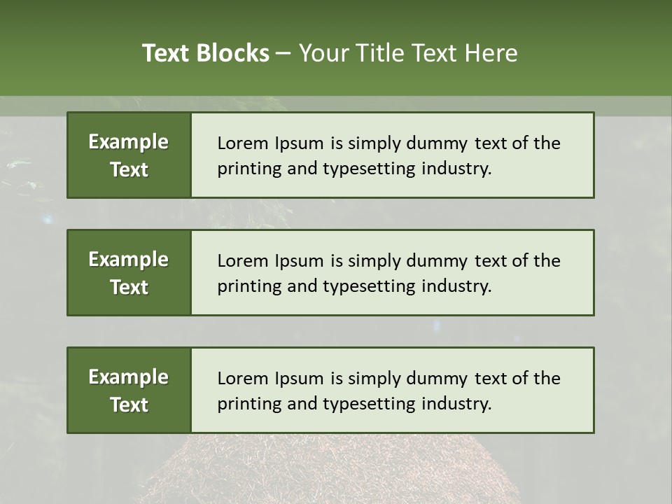 Insects Nature Wood PowerPoint Template