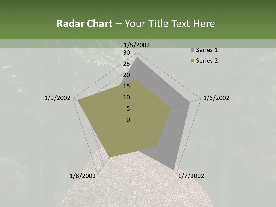 Insects Nature Wood PowerPoint Template