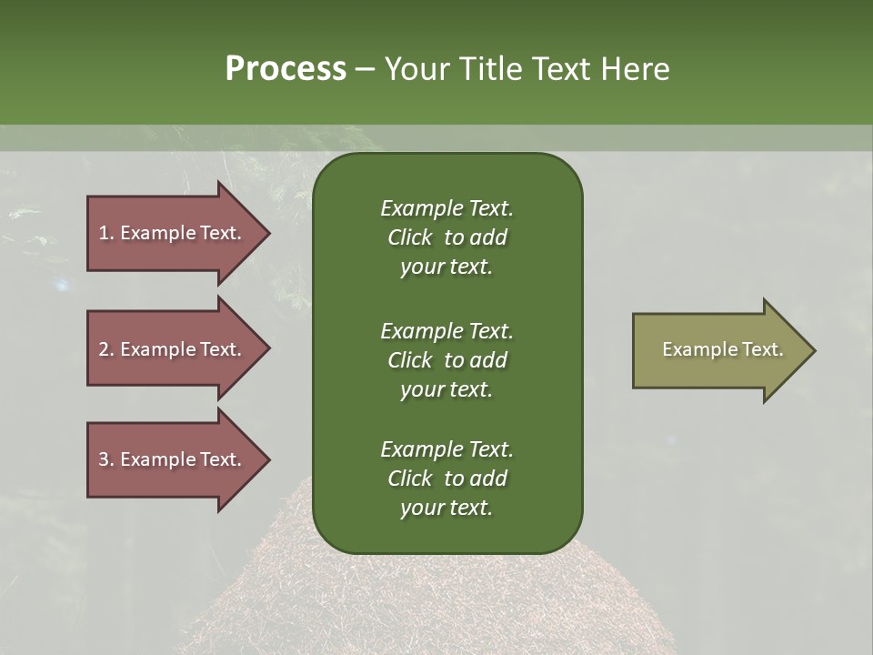 Insects Nature Wood PowerPoint Template