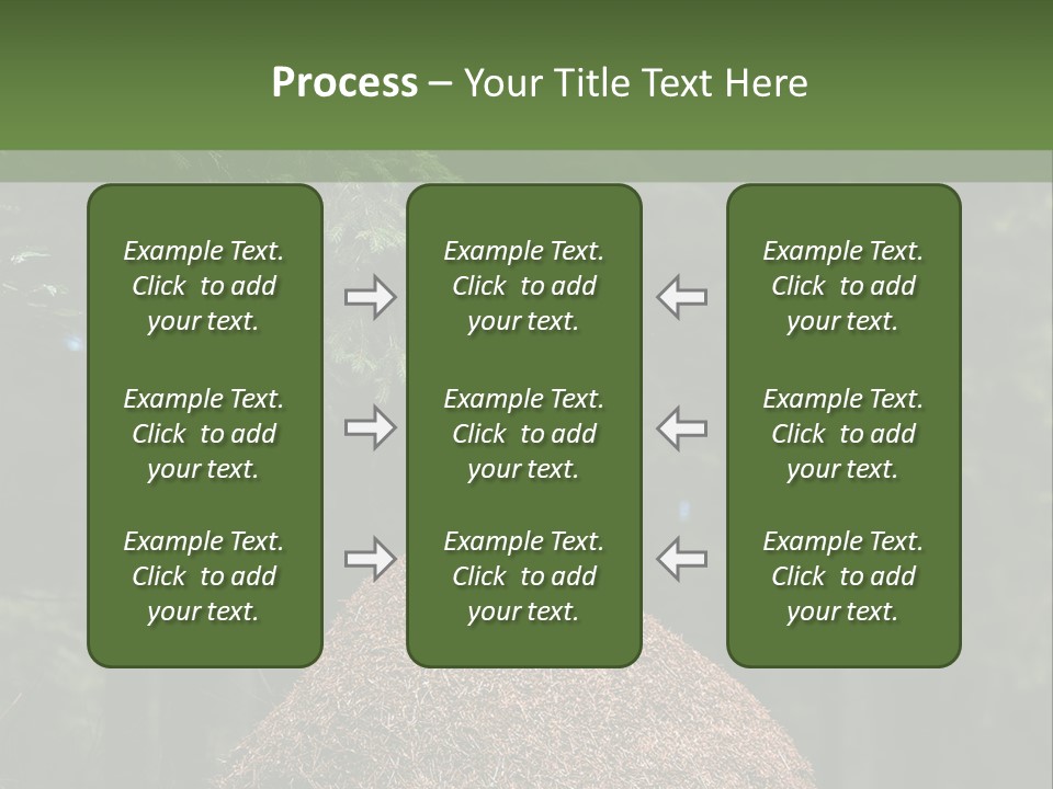 Insects Nature Wood PowerPoint Template