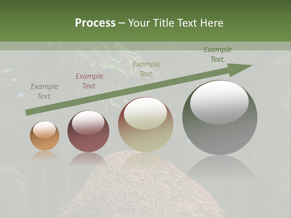 Insects Nature Wood PowerPoint Template