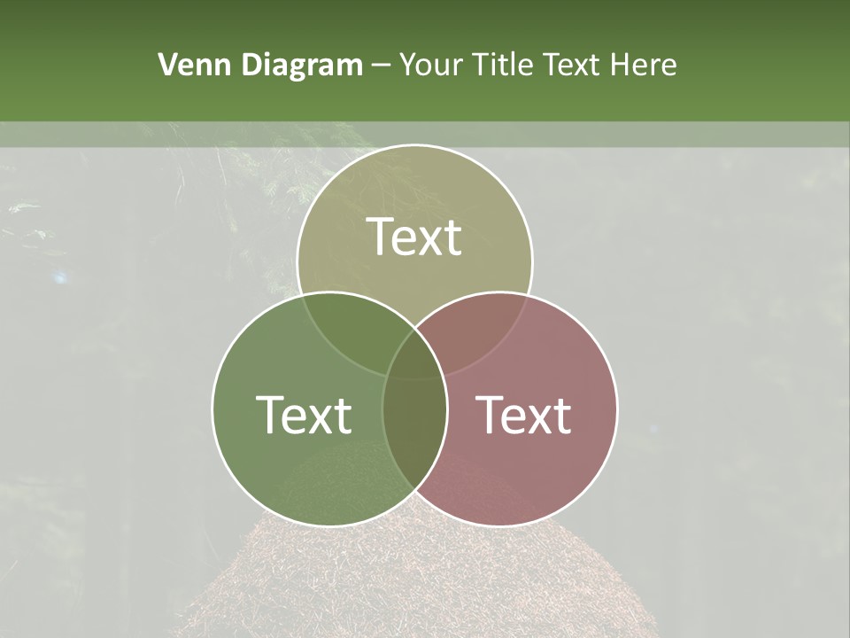 Insects Nature Wood PowerPoint Template