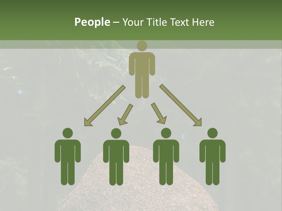 Insects Nature Wood PowerPoint Template