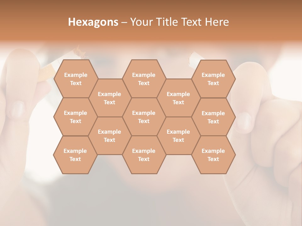 Risk Concept Habit PowerPoint Template