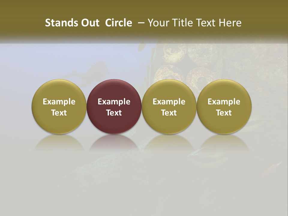 Ship Diving Shell PowerPoint Template