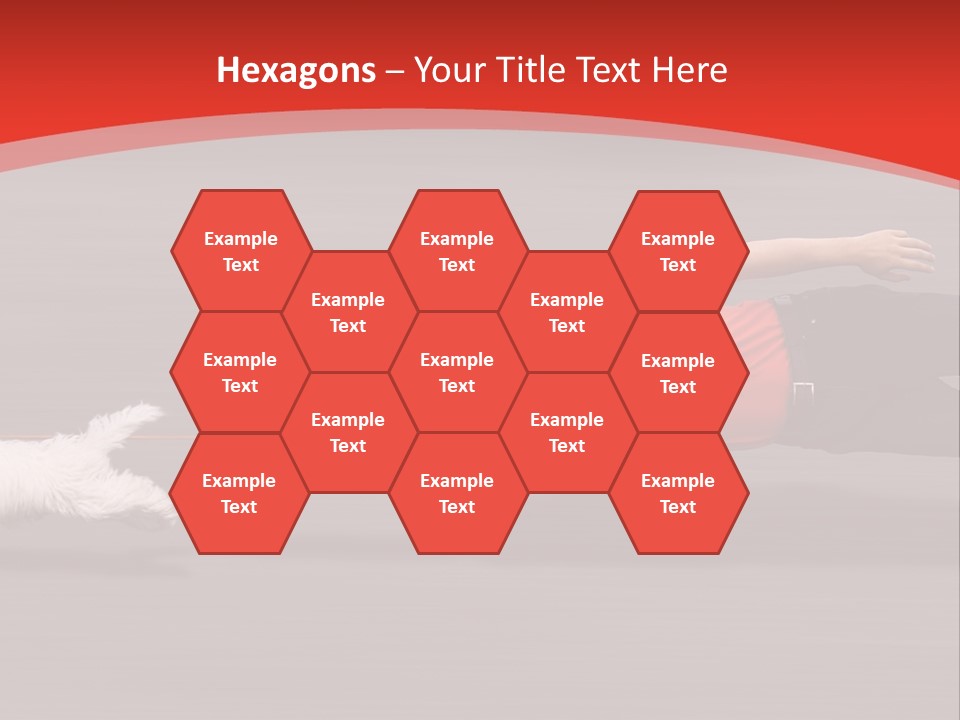 Owner Smile Obey PowerPoint Template