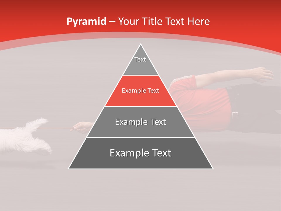 Owner Smile Obey PowerPoint Template