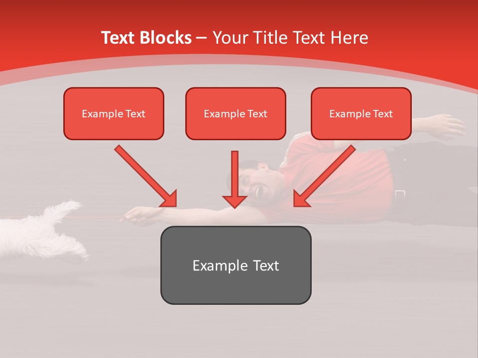 Owner Smile Obey PowerPoint Template