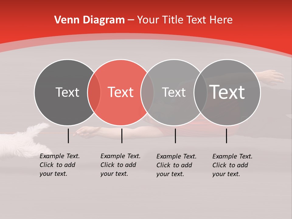 Owner Smile Obey PowerPoint Template