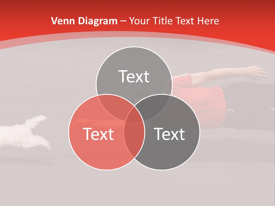 Owner Smile Obey PowerPoint Template