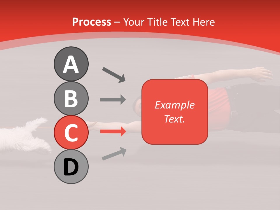 Owner Smile Obey PowerPoint Template